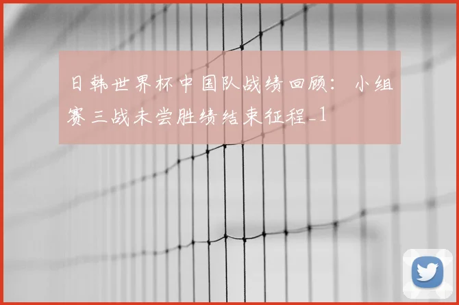 日韩世界杯中国队战绩回顾：小组赛三战未尝胜绩结束征程_1